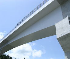 はく落防止対策用連続繊維シート接着工法『TMネット工法』(表面被覆)